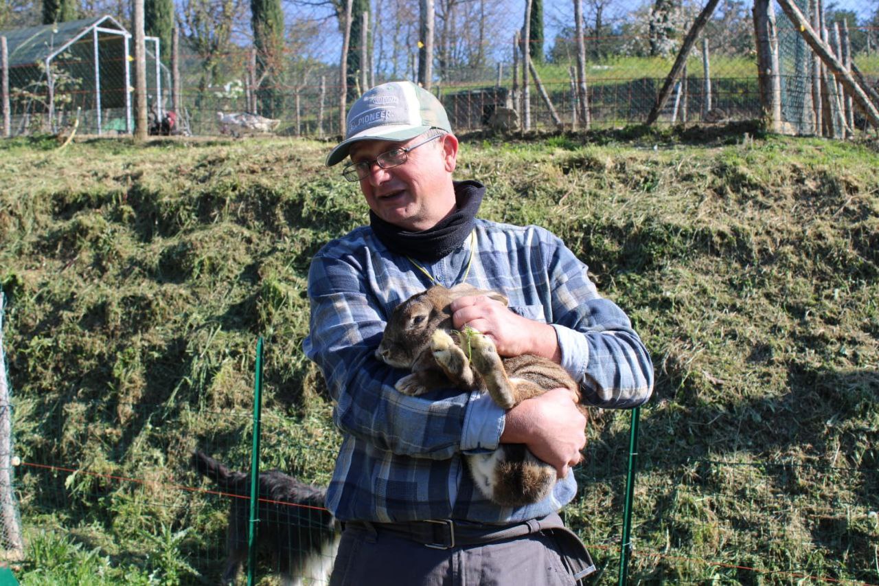 Fattoria Peneto
